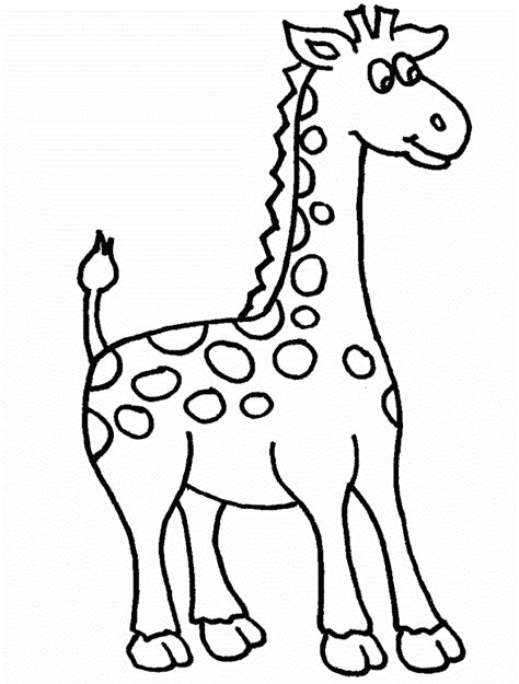 Animal Colouring Pages Giraffes Coloring Pages