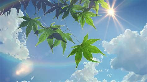 Summer Sunlight Leaves The Garden Of Words Sun Rays Clouds Makoto