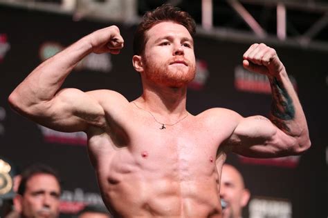Canelo álvarez highlights and perfect skills: After shoving match, 'Canelo,' GGG ready to settle matters in ring | Las Vegas Review-Journal