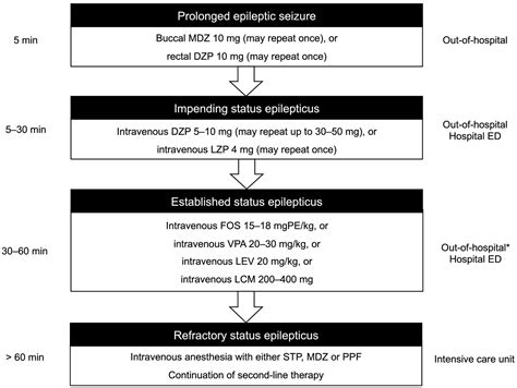 Status Epilepticus Practice Variation And Adherence To Treatment