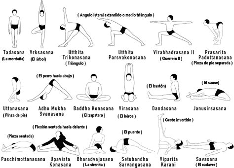 Meditación Y Yoga Yoga Solo Unas Cuantas Asanas Son Las Esenciales Y