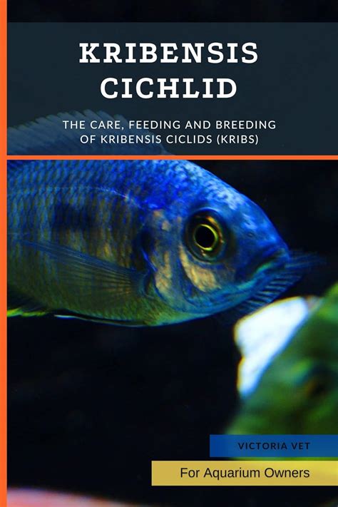 Kribensis Cichlid The Care Feeding And Breeding Of
