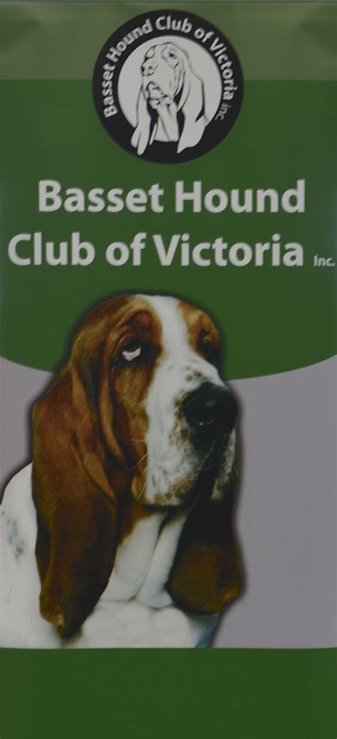 The Basset Hound Club Of Victoria Inc