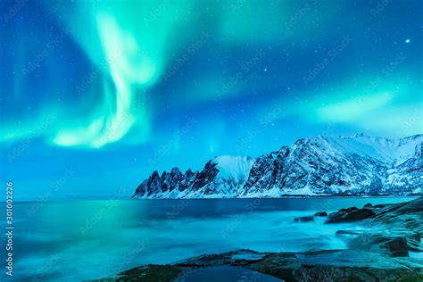 Vivid Northern Lights During Polar Night On Lofoten Islands In Norway