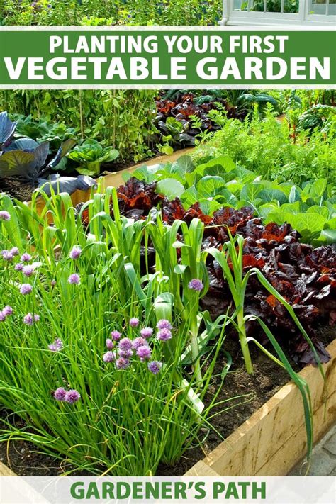 Vegetable Garden Planting Guide Fasci Garden