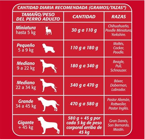 Utca Elhajt Elnyom Que Cantidad De Comida Se Le Da A Un Perro Türelem Regionális ügyetlen