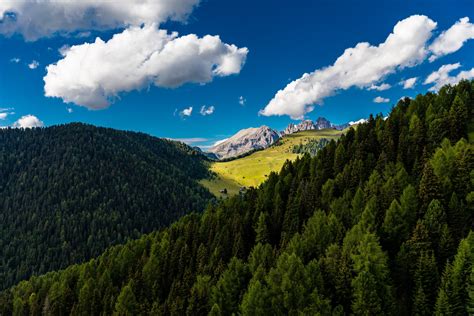 1536x864 Resolution Green Mountains Trees Mountains Clouds Hd
