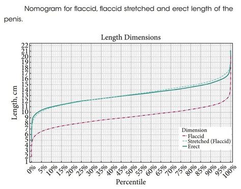 scientists measure 15 000 erect penises determine average size newnownext