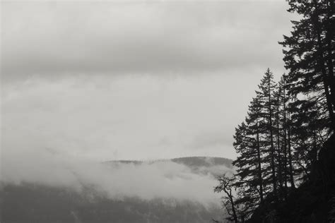 Free Images Tree Nature Mountain Snow Cloud Black And White Sky