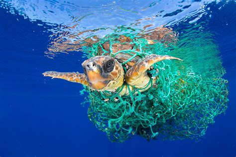 10 Shocking Facts About Plastics In Our Oceans Passport Ocean