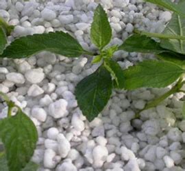 Cendere teriminin türkçe türkçe sözlükte anlamı. Agricultural Perlite