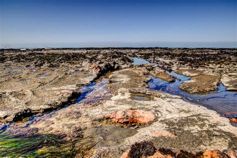 Duxbury Reef Tide Pools Pt Reyes National Seashore