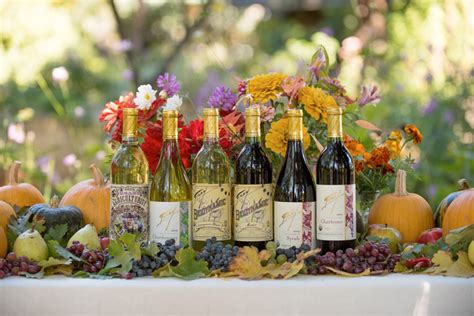 Animal products are often used in the filtering and fining, or clarification process of both wine and beer making. 5 Vegan Wine Brands You Need To Try (and Why!)