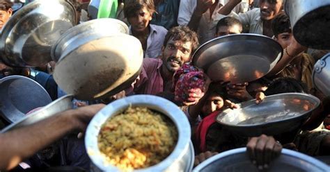 La FAO Advierte Que 735 Millones De Personas Padecen Hambre En El Mundo
