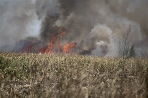 Reporte Oficial Por Los Incendios En Argentina Cinco Provincias Con