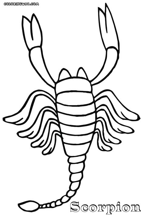Scorpions Clip Art Library