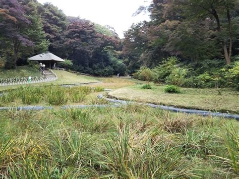 Meiji Shrine Imperial Garden Shibuya 2021 All You Need To Know