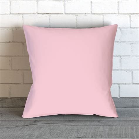 Blush Pink Pillow Light Pink Pillow Light Pink Throw Pillow