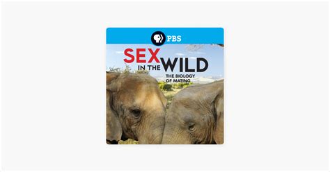 ‎sex In The Wild On Itunes