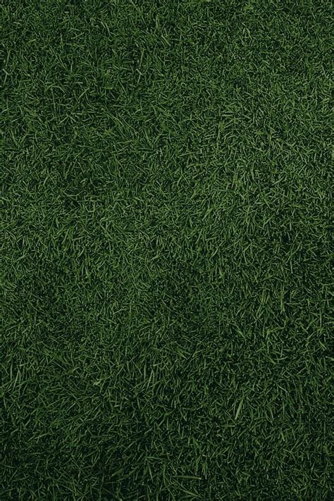 Grassgreen Grass Grass Textures Grass Texture Seamless Grass Wallpaper