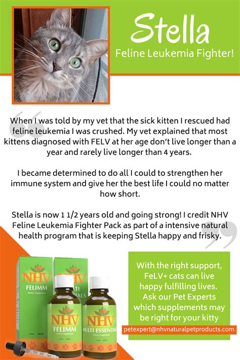 Nhv Feline Leukemia Fighter Pack Helps Rescue Cat Cope With Felv