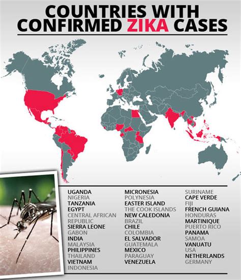 Revealed What You Need To Know About The Zika Virus Before Travelling Travel News Travel