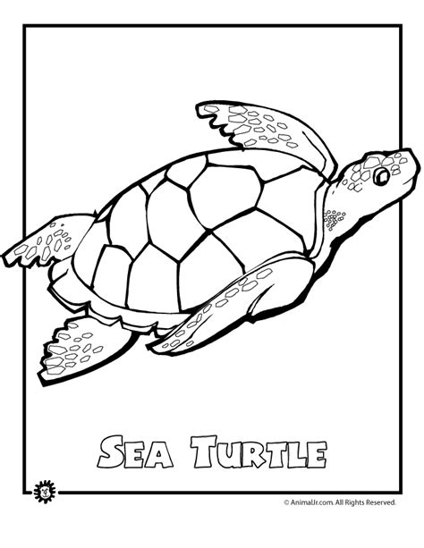 Choose your favorite animals in this chart or see our baby animals, farm animals, and. Sea Turtle Endangered Animal Coloring Page | Woo! Jr. Kids Activities