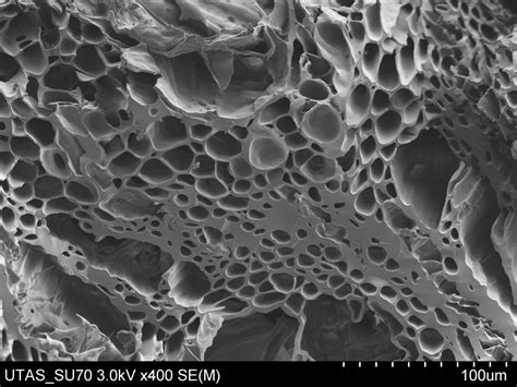 Electron Microscope Images Of Biochar Hi Resat