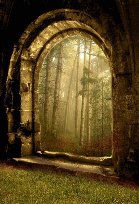 mykindafairytalee | Enchanted wood, Magical forest, Doorway