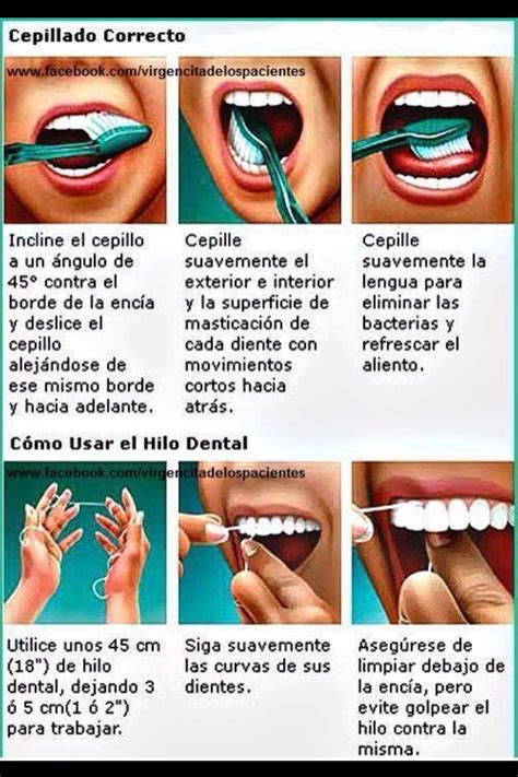 Técnica de higiene dental Cepillado dental Salud bucal Tecnicas de cepillado dental