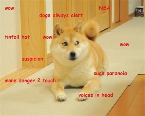 The 25 Best Doge Meme Ideas On Pinterest Doge Funny Doge And Doge