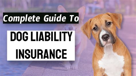 Complete Guide To Dog Liability Insurance All The Details Youtube