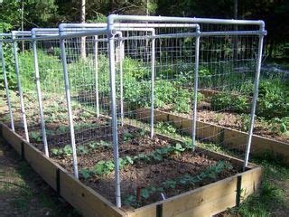 Gardeners.com has been visited by 10k+ users in the past month Homemade Trellis For Pole Beans and Cucumbers - Yahoo ...