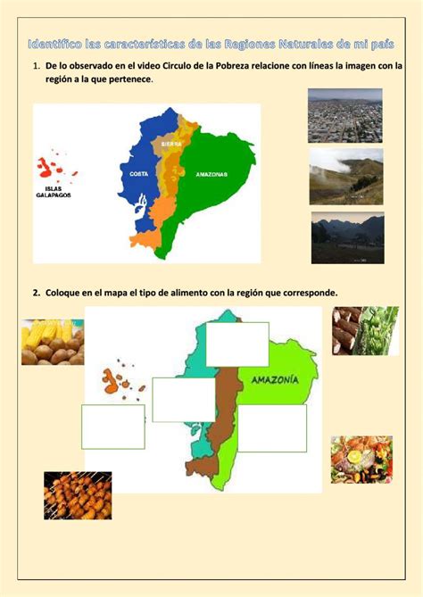 Regiones Naturales Del Ecuador Online Activity Tradit Vrogue Co