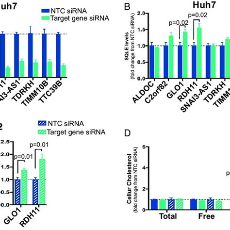 Effect Of Candidate Gene Knockdown On Transcript Levels Of Cholesterol