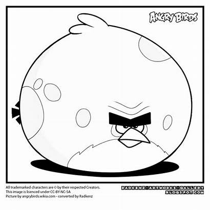 Angry Birds Coloring Pages Terrence Bird Stella