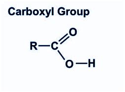 Carboxyl Group Structure Properties Sources Chemistry Byju S