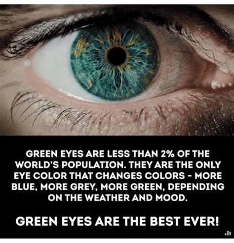 I Have This Green Eyes Facts True Interesting Facts Wow Facts