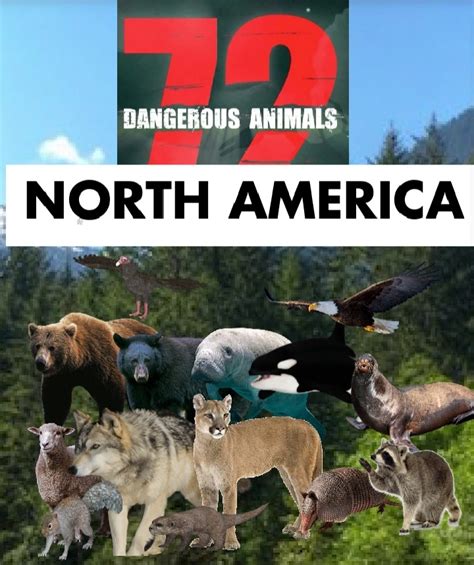 72 Most Dangerous Animals North America Fictionrulezforever Wiki
