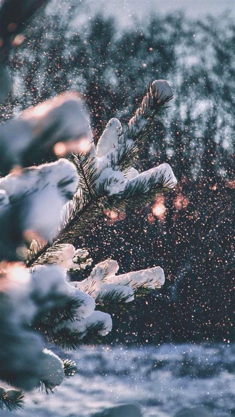 Hello Winter Aesthetic Wallpapers Wallpaper Cave
