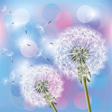 This is a dandelion icon. Dandelion free vector download (91 Free vector) for ...