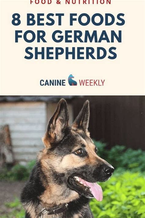 8 Best Foods For A German Shepherd Puppy 2024 Reviews Best Dog Food