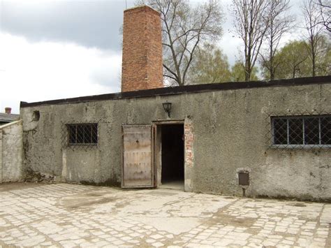 The following day we began our work in the alleged gas chamber at the auschwitz camp facility. TIL the Auschwitz gas chamber smokestack isn't actually ...