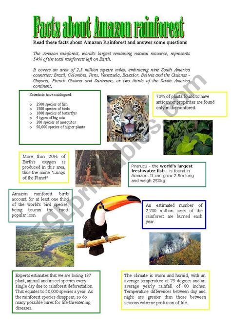 Free Printable African Rainforest Worksheets

