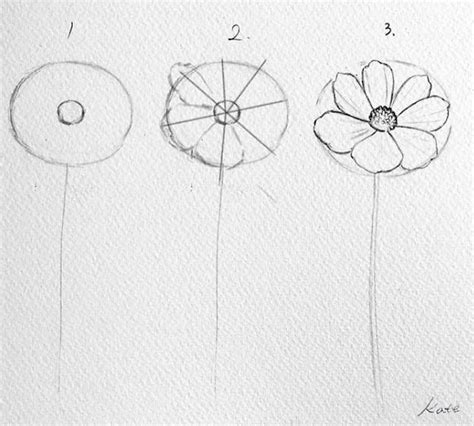 10 Realistic Flower Drawings Step By Step Easy Drawing Tutorials