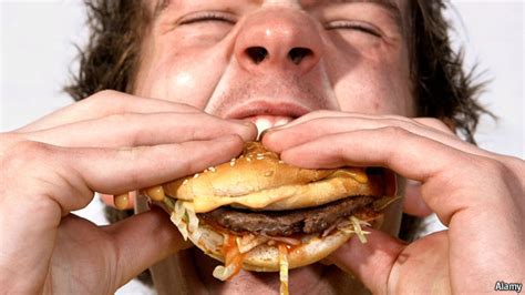 Visit us or call for more information. Hamburgere Vücudumuzda Ne Oluyor? | Obezite.com