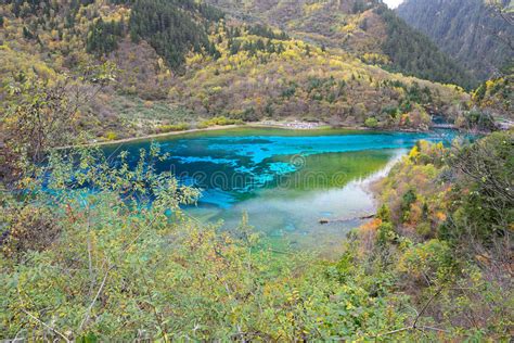 Five Flower Lake Jiuzhaigou Stock Image Image Of Paradise Fresh