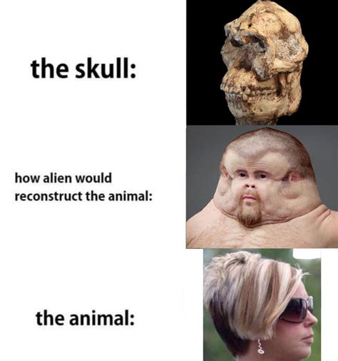 How Aliens Would Reconstruct The Animal Know Your Meme