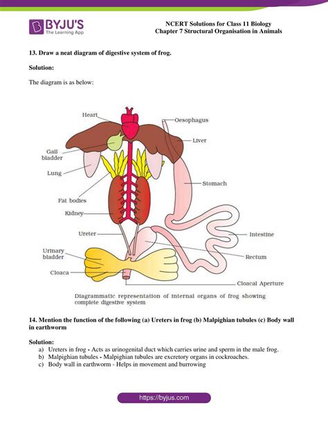 Ncert Solutions Class 11 Biology Chapter 7 Structural Organization In