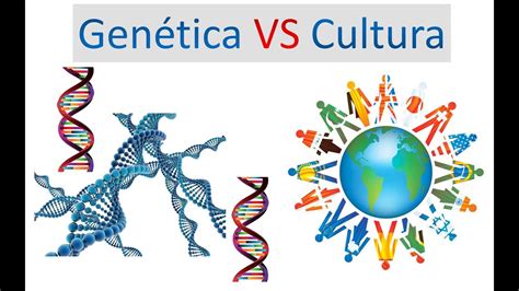 GenÉtica Y Cultura ⋆